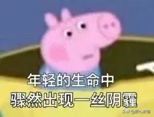 “快看，那个学数竞的上吊了……”当代数竞生迷惑行为大赏