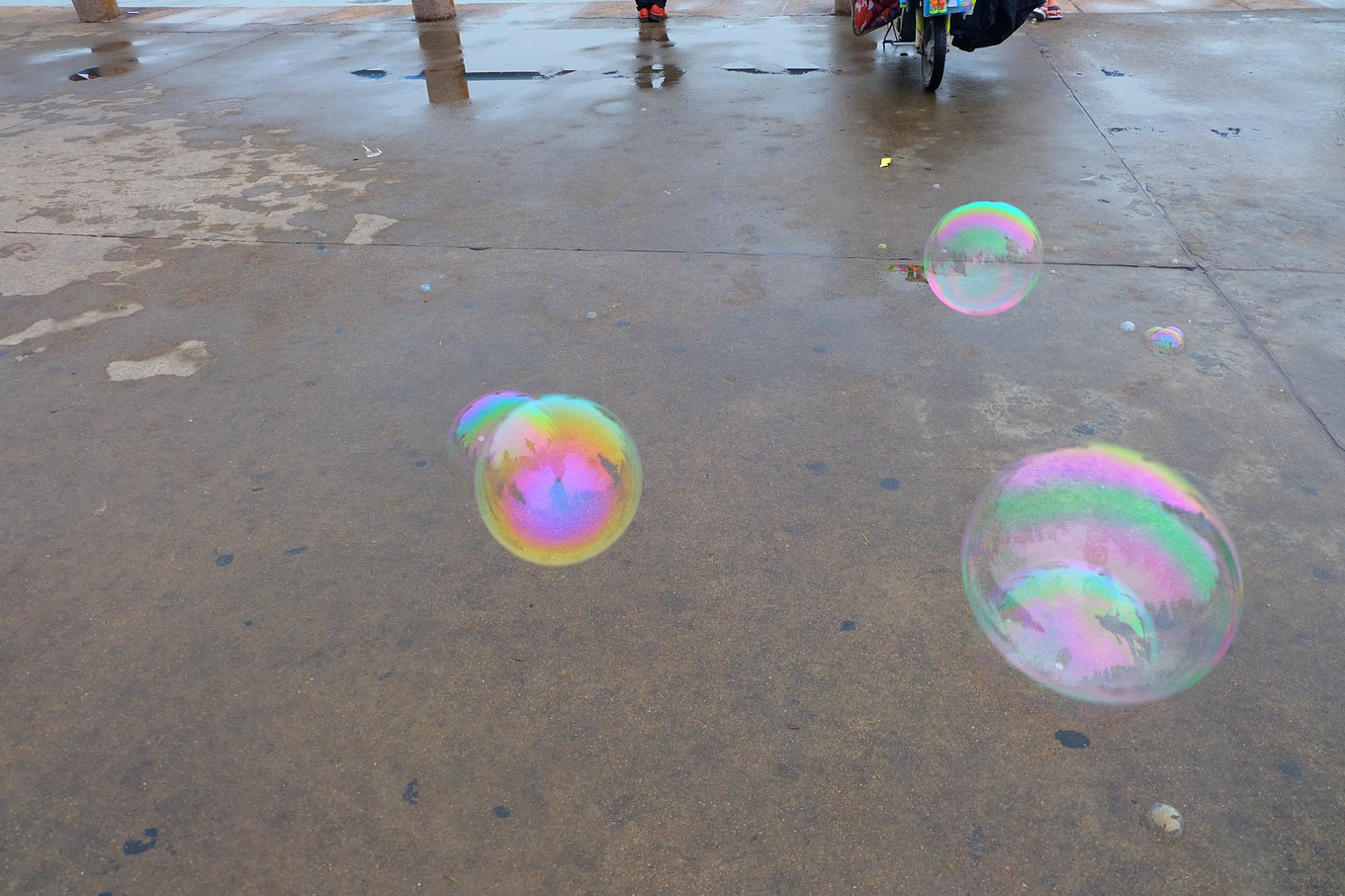 骆驼青岛,骆驼旅行在路上