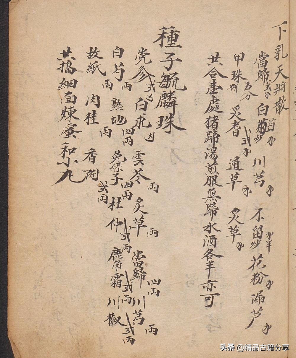 大清中医药方名方,大清中医类抄本跌打损伤医书