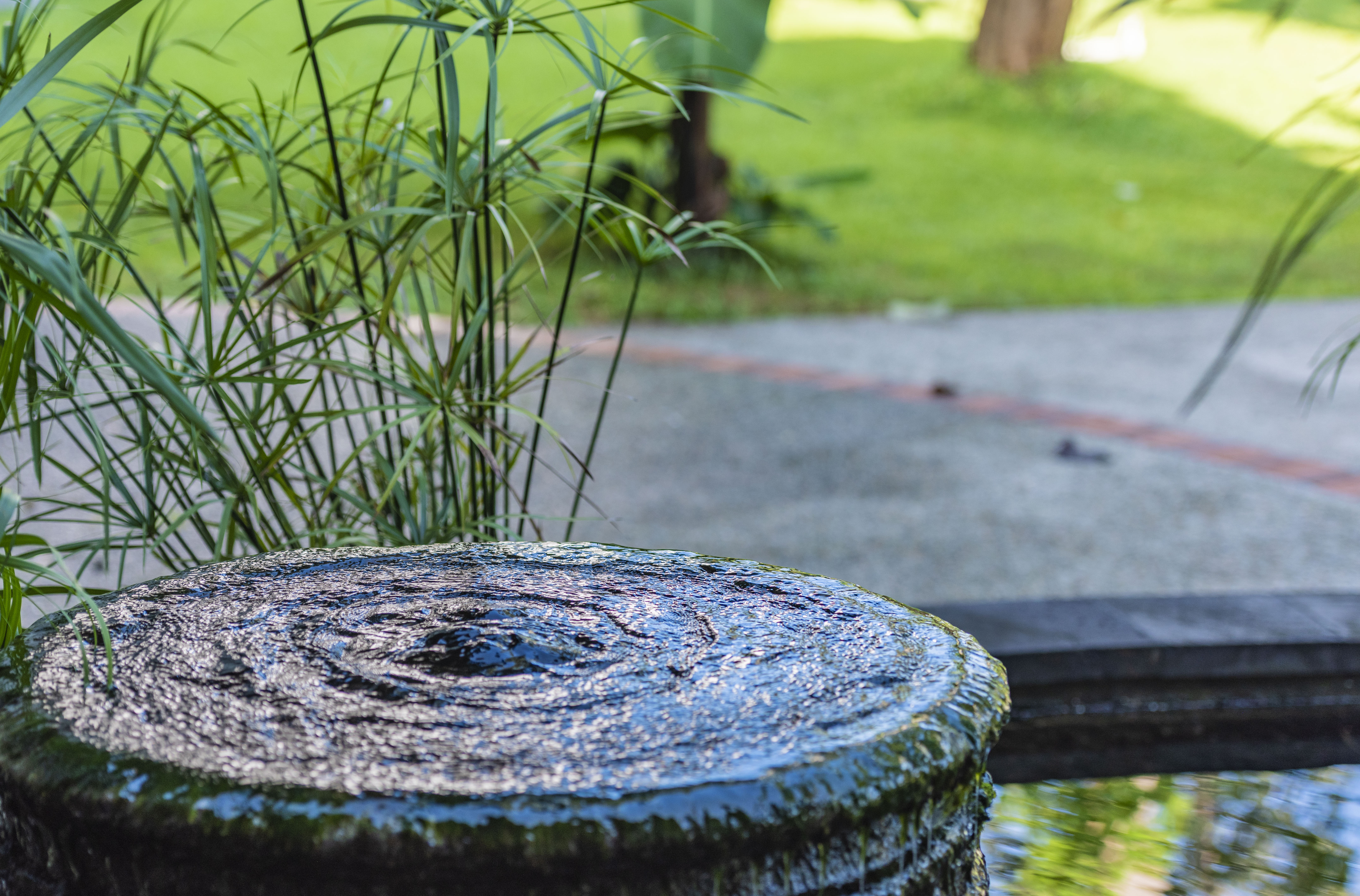 世界唯一货币上标有中文的国家,一个没有被商业开发的原生态岛国