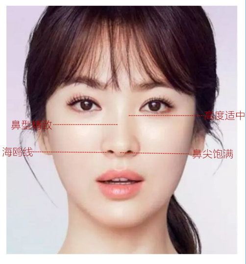 什么样的鼻子好看,怎样的鼻子才是好看的鼻子