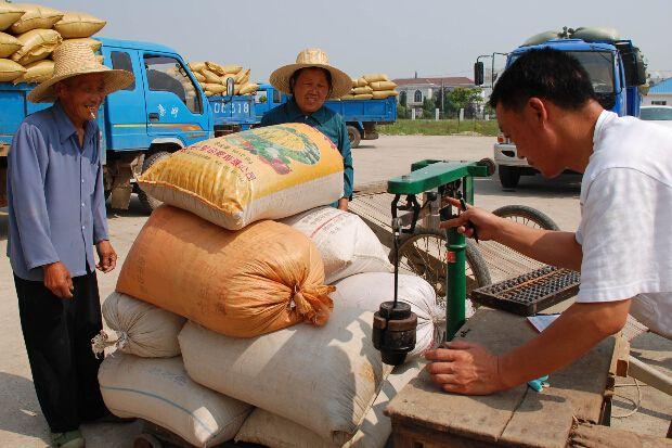 种植赔钱养殖赔钱农业的出路在哪,农民靠养殖发家赚钱