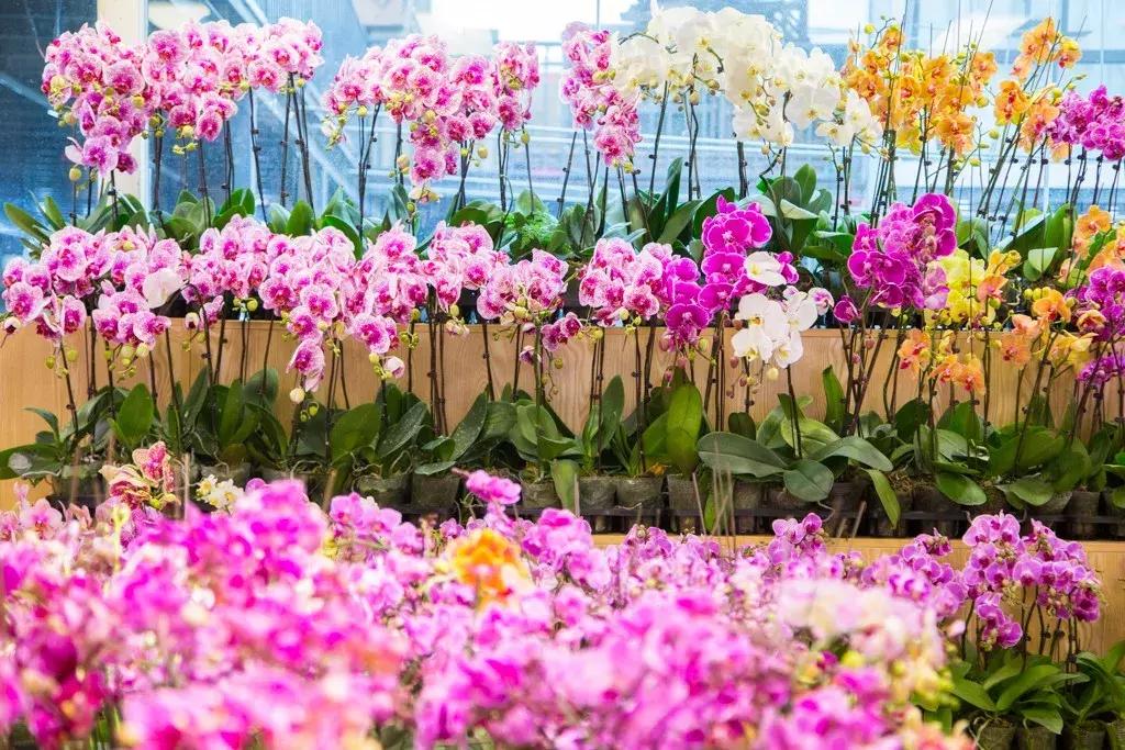 重庆的大型批发市场,最新最全重庆批发市场一览表