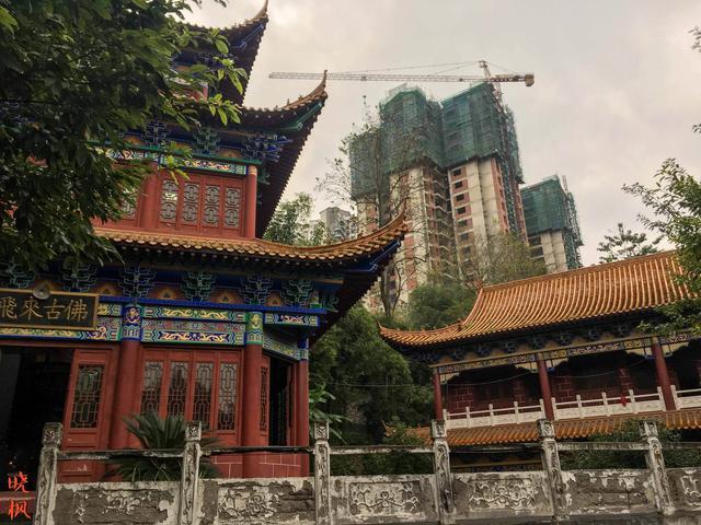 广安升学率最高的四所中学,广安高中实力排名