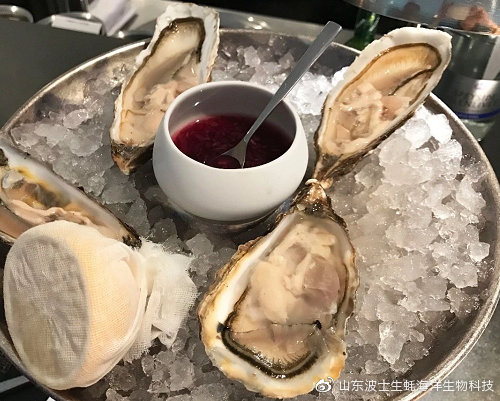 宵夜吃生蚝真实视频,宵夜湛江生蚝生吃