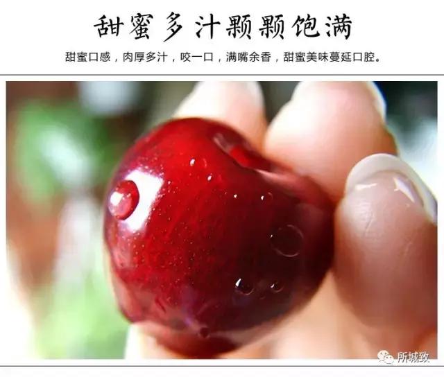 烟台樱桃季，烟台地区共产出22万吨，也就是440000000斤大樱桃