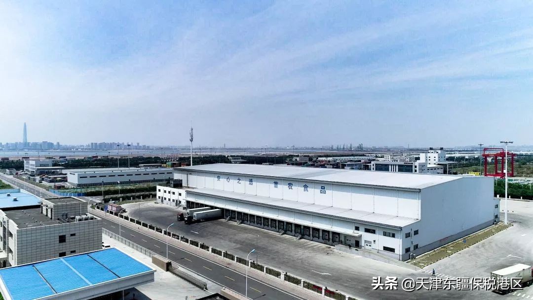 进博会四叶草领花,进博会收获购物袋