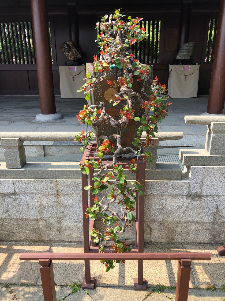 香港志莲净苑地图,香港志莲净苑好玩吗