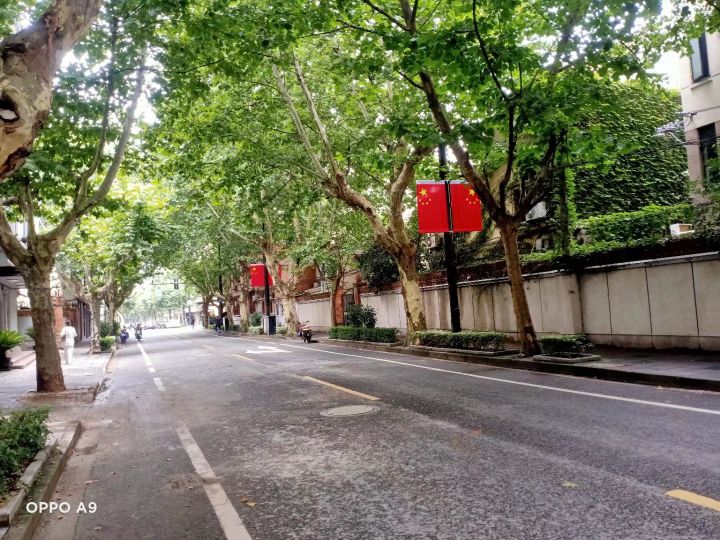 上海永不拓宽的马路安福路,长宁区永不拓宽的马路
