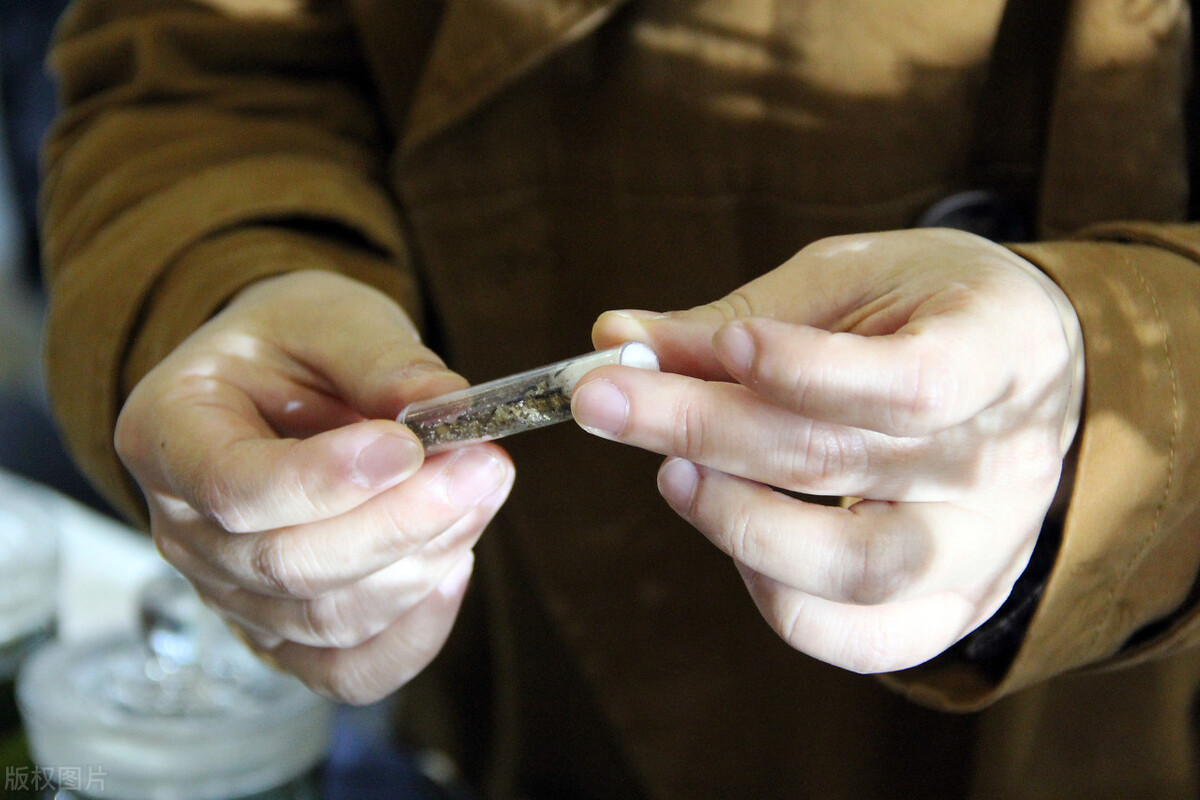 十大害虫的克星,常见害虫天敌