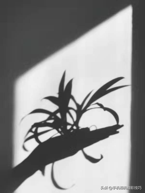 学摄影要听前人话吗,摄影小白零基础学摄影图片