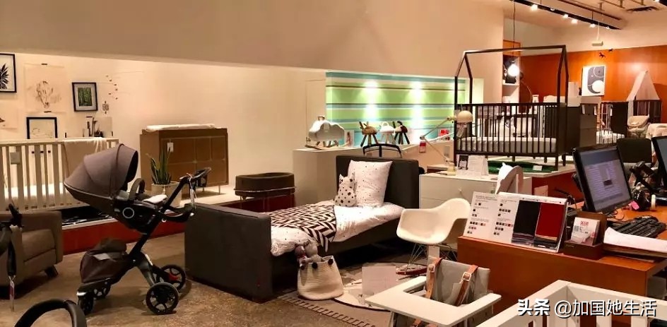 加拿大养小孩福利,加拿大养宠物必备什么