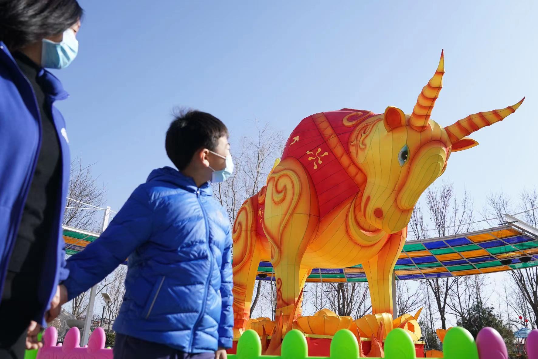 喂牛看牛灯，丰台南宫“牛气冲天”迎新春