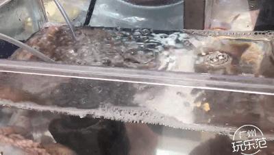 月薪三千也能玩转张家界,月薪3000也能吃得起的海鲜