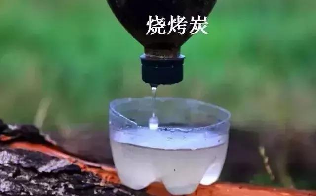 野外生存小技巧怎么过滤水,野外生存取水的正确方法