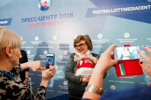 流浪猫突然暴富了,俄罗斯3只流浪猫