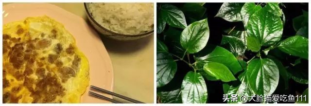 万宁特色美食攻略,万宁的特色美食有哪些