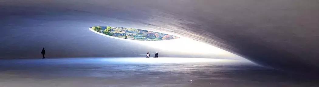 当景观遇上设计,当景观植物遇见灯光