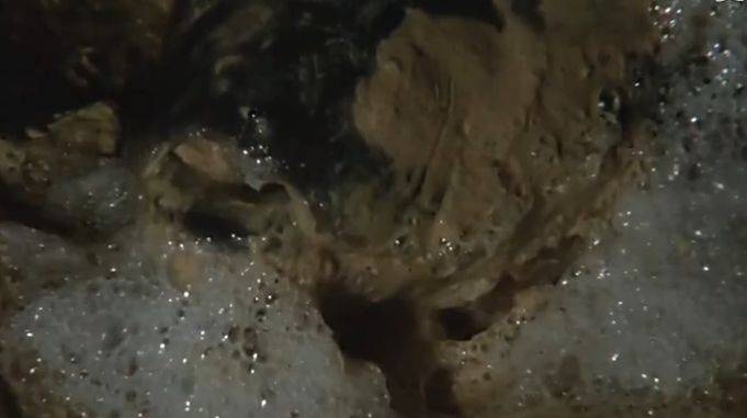 单鳃呼吸的鱼可以怎么救,鱼是用鳃呼吸的鳃的主要部分是