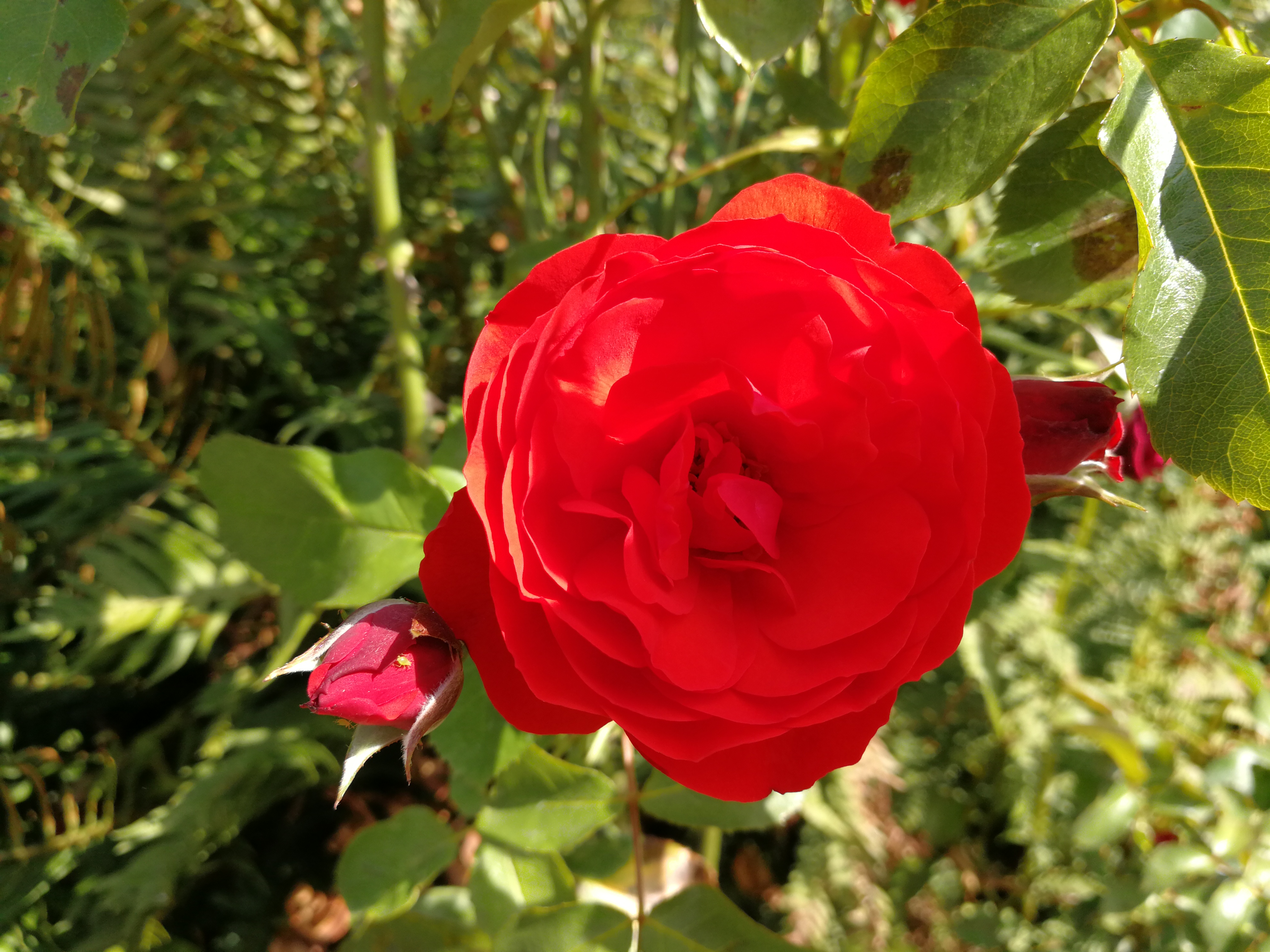 信贷资产期限结构与存款结构,宅理财增值保值