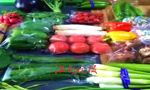 本土蔬菜合作社酝酿“升级革命”——蔬菜冷链：延缓“衰老”神器