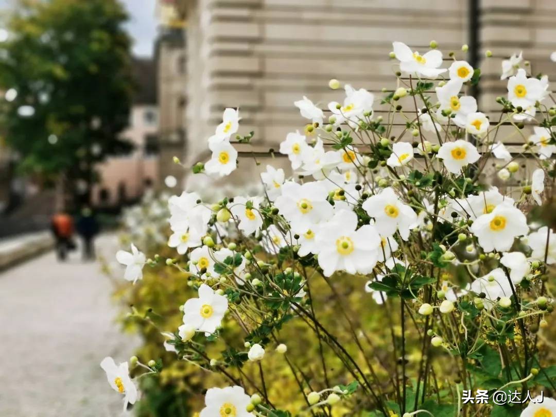 跟着小天玩游戏,跟着小天去旅行