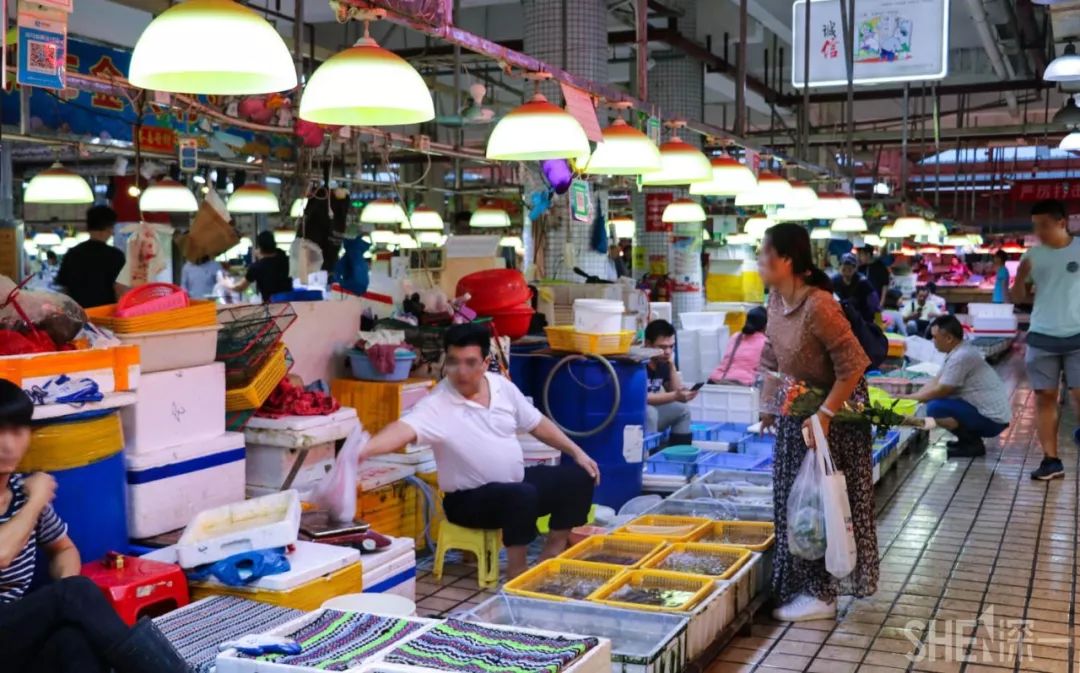 蛇口，传统与现代的并存