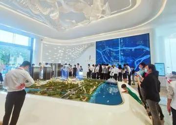 热销红盘揭秘口播,现象级热销红盘背后的火爆公式