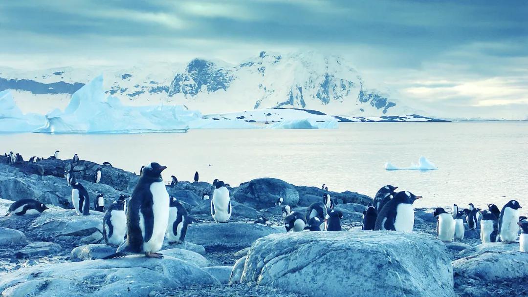 帮老师写教案,帮老师写教案是好事吗