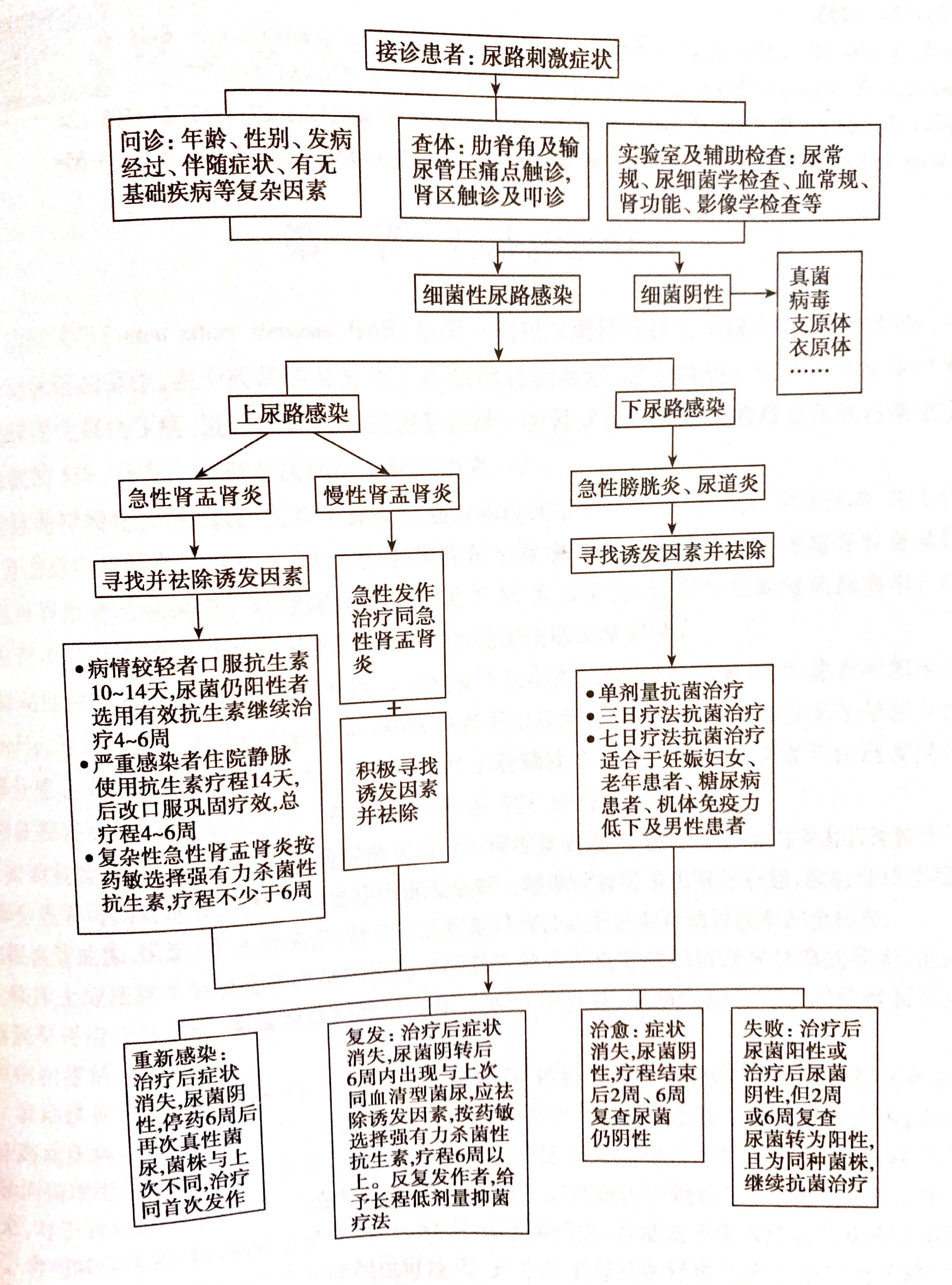 尿频尿路感染了吃什么饭,尿频尿急尿路感染吃什么保健品好