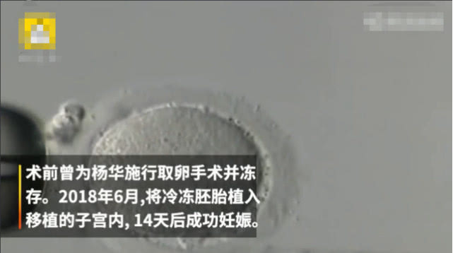 中国首例试管宝宝,首例胚胎生下的小孩