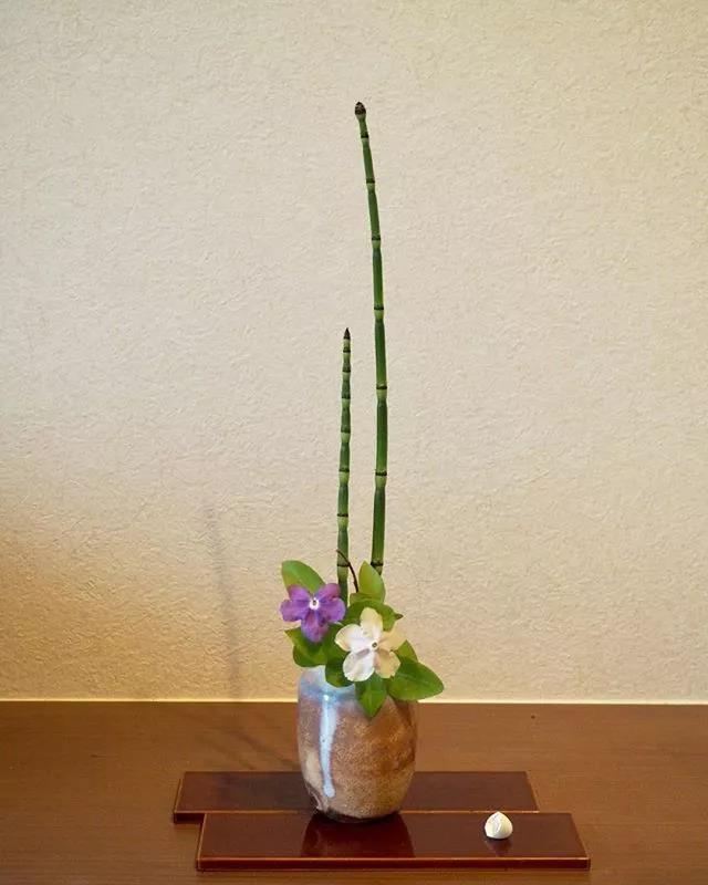 一花一世界一叶一菩提本来无一物,一花一世界一叶一菩提一场梦