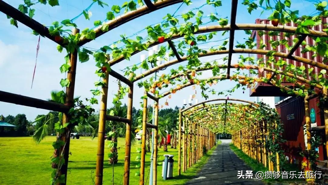 开挂了这座人口仅30万的小城,却连续5年上榜“四川省十强县”