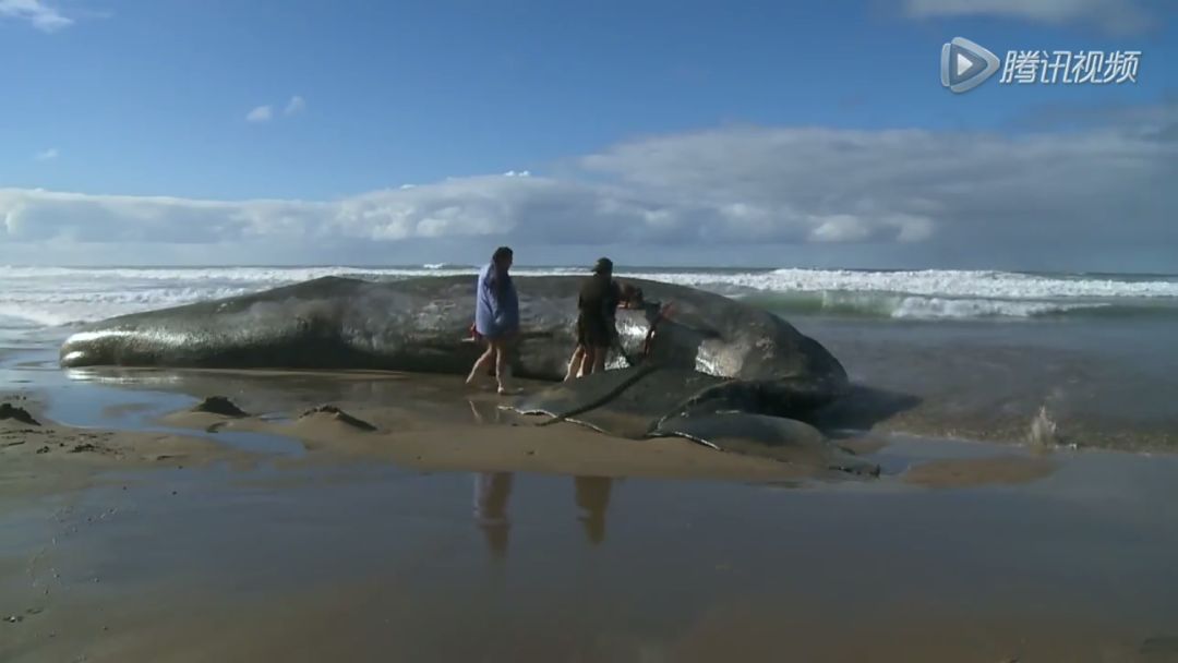 地球的另一端长什么样,地球另一端的意思