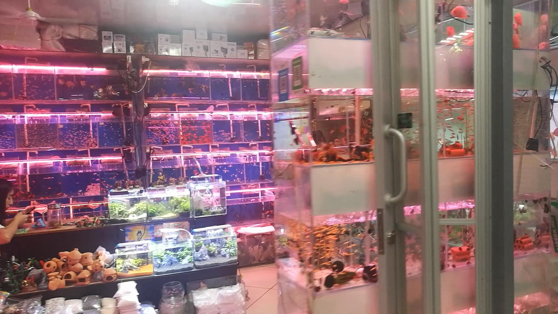 北京官园批发市场搬迁到哪里了,北京官园市场搬迁到哪里