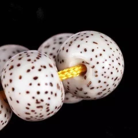 星月菩提怎么看好坏品相,星月菩提怎么辨别品质好坏