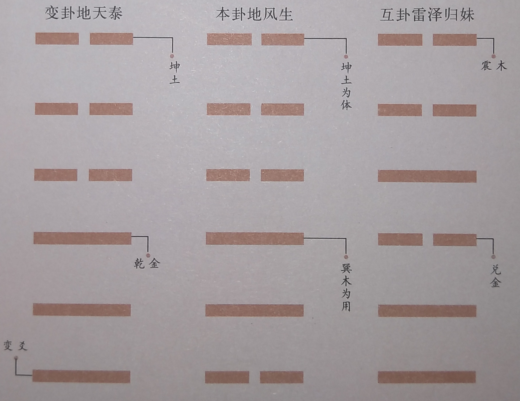 梅花易数代表什么意思,梅花易数中呼应关系