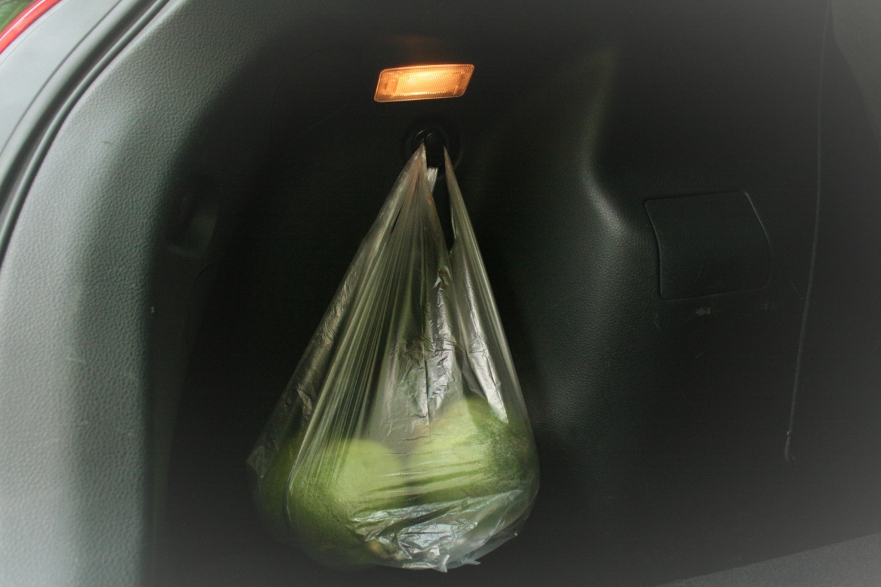 从上海市区搬到上海近郊,从上海城里搬到乡下