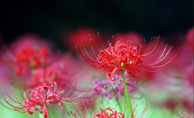 每日一典全文,每日一典