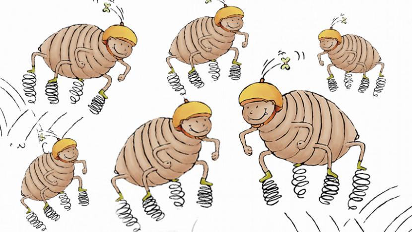 虱子有多大,虱子有几种叫法