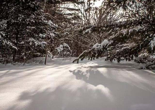 如何调整光圈的大小,如何调好光圈