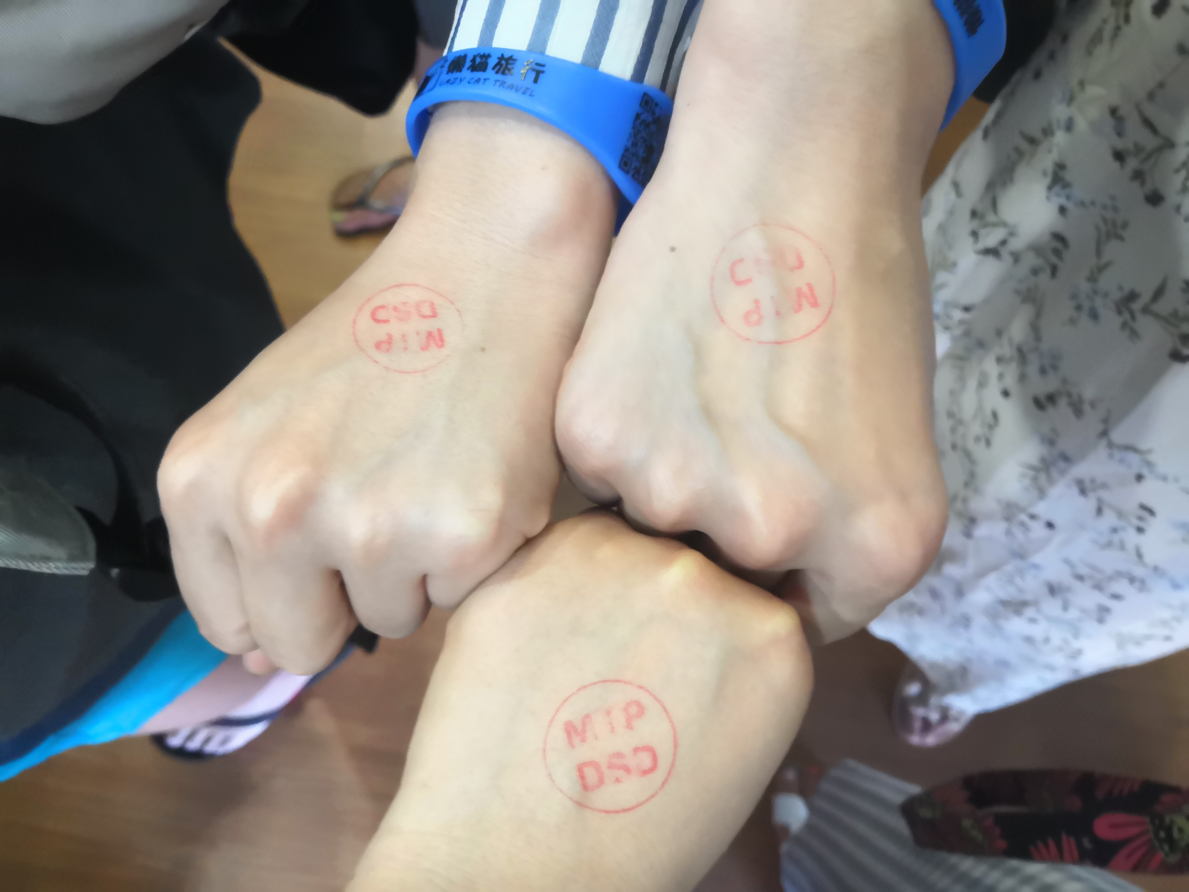 2018马来西亚之旅留影,2019回眸