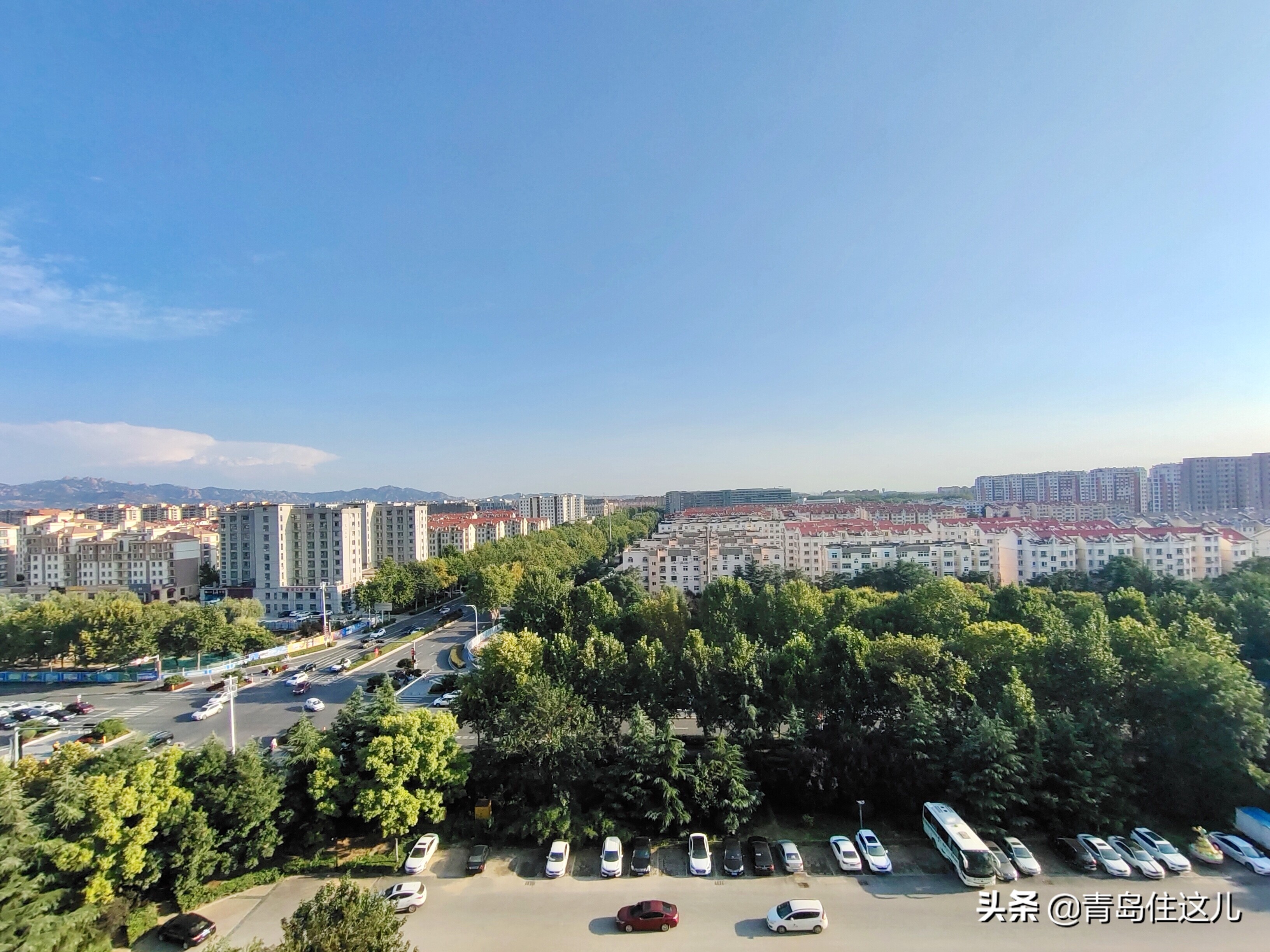 青岛楼市今年涨还是跌,青岛城阳各板块分析