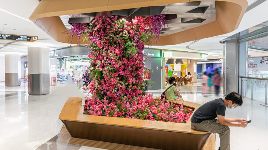 太会撩了!「中华广场」浪漫告白地,七夕的又一个新选择