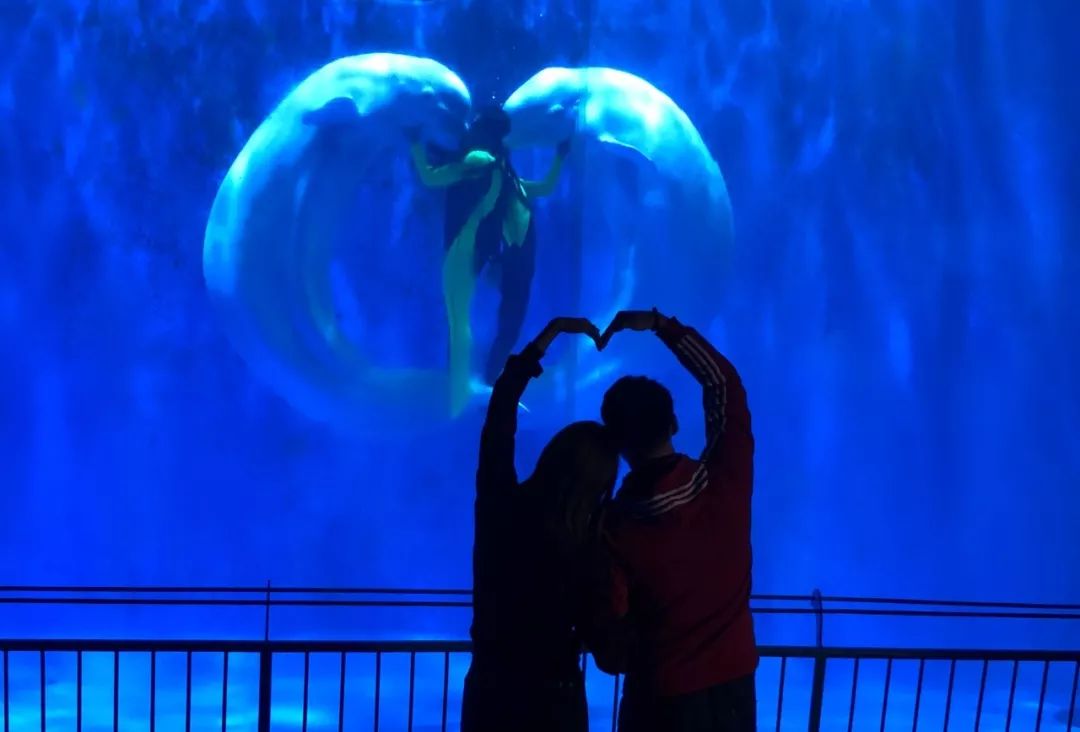 你在寒冷的室外“饥寒交迫”，我在温暖的极地馆“吃喝玩乐”