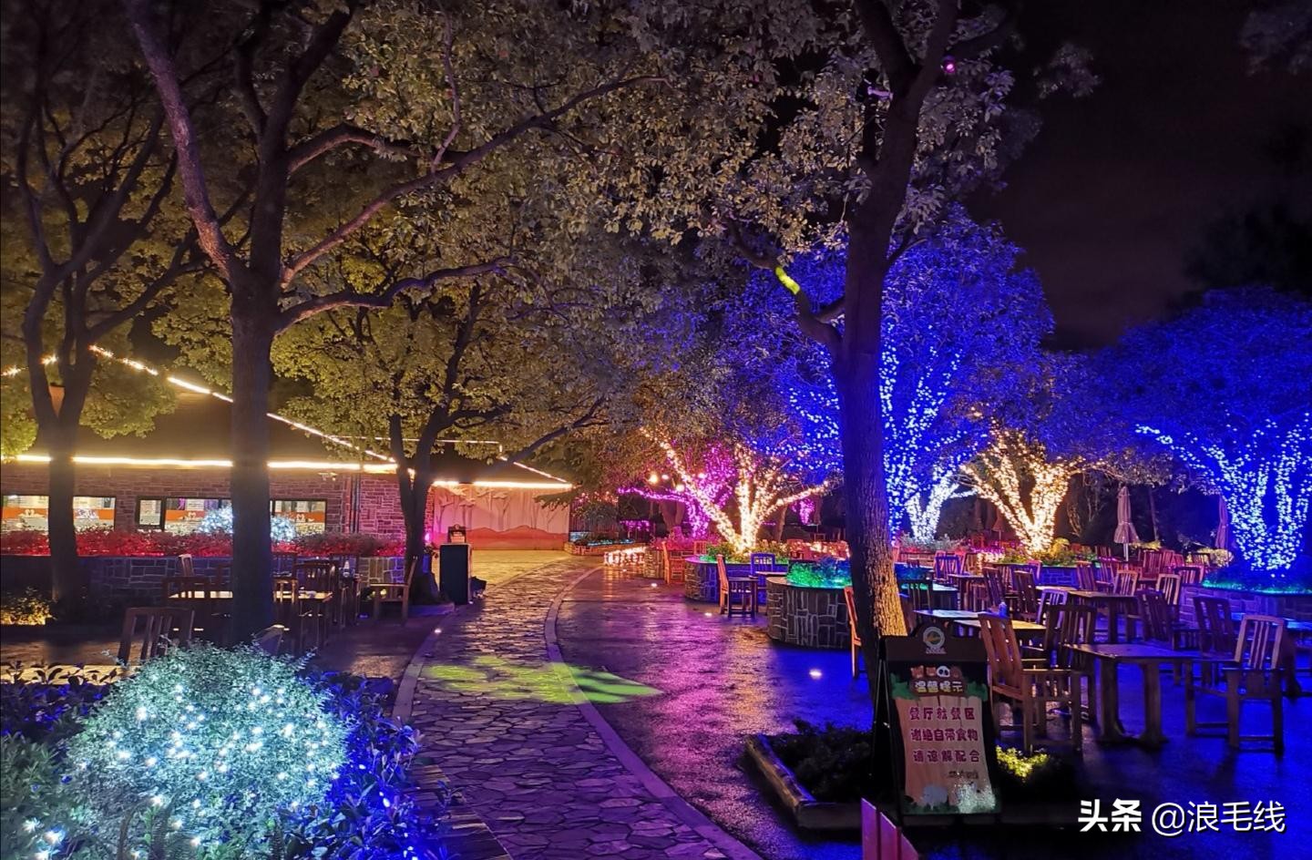 夜上海魔都在哪里,夜上海在哪里玩