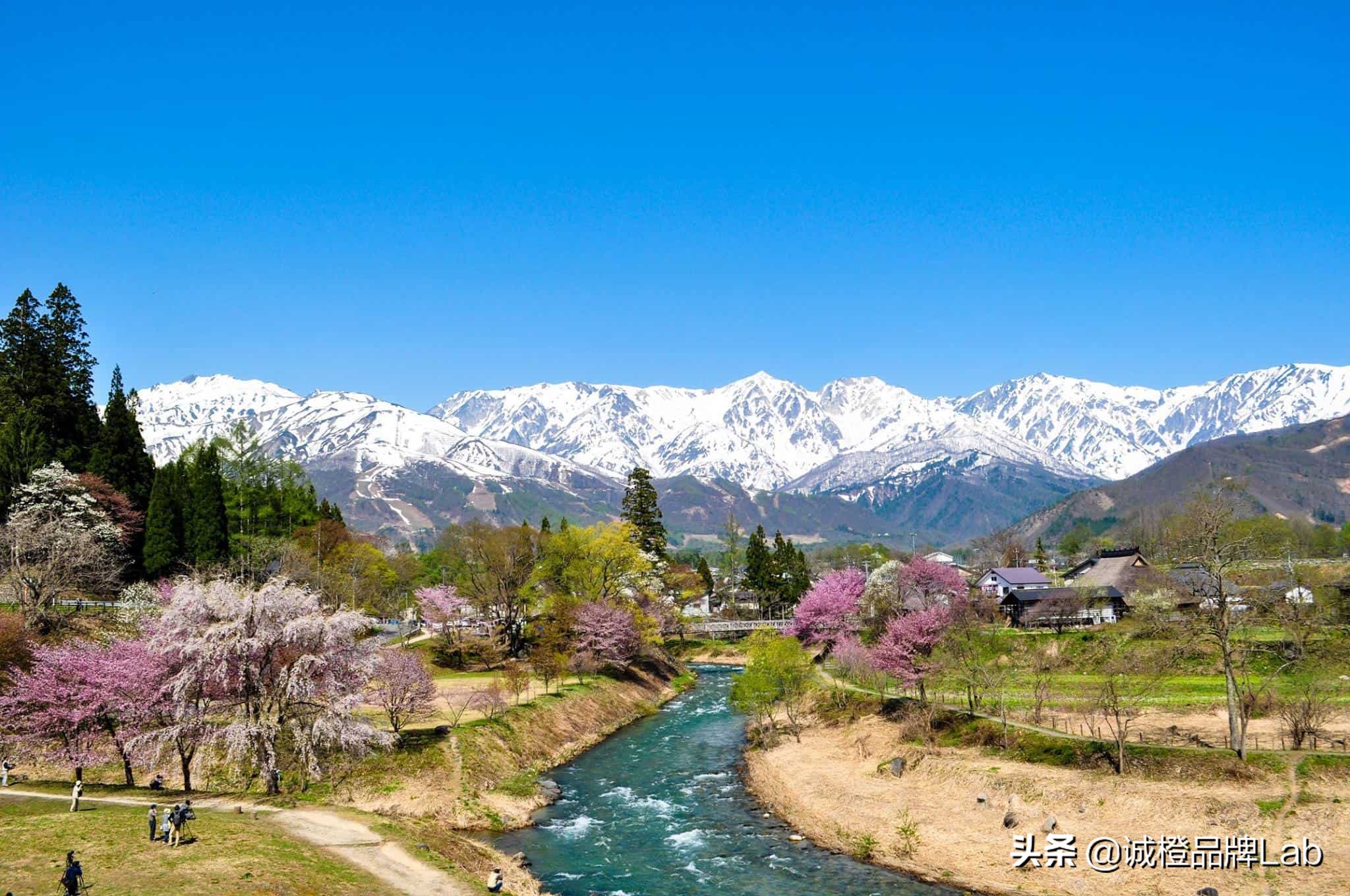 乡村内生活力,乡村发展的活力表现在诸多方面