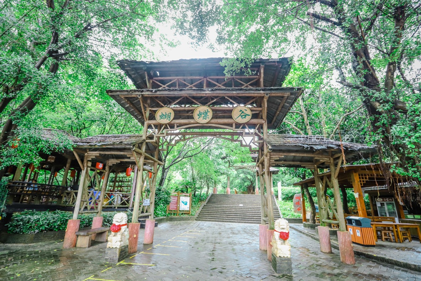 享受鼎湖山绝美风景,换个角度的风景