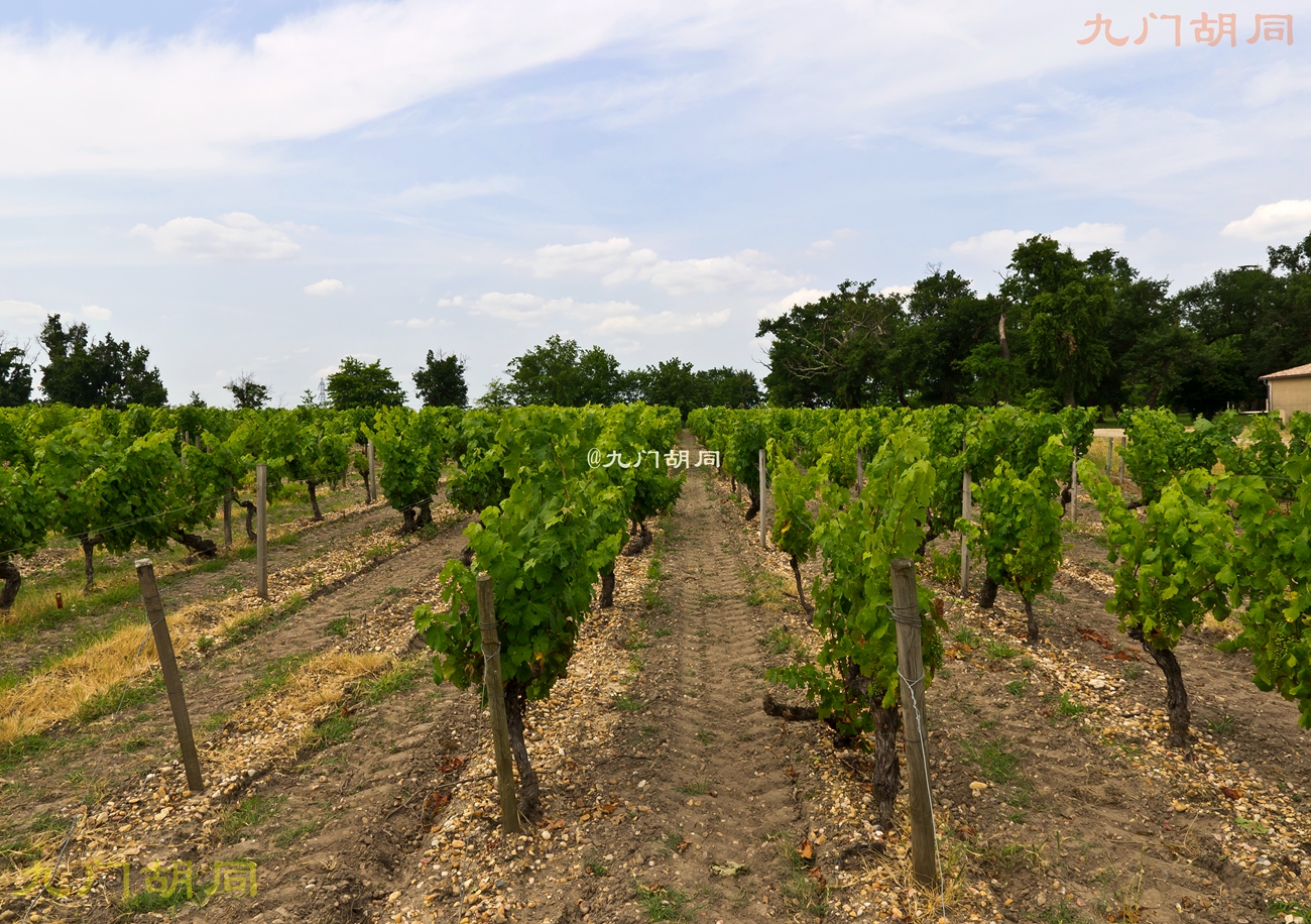 法国旅游葡萄酒庄,法国波尔多酒庄旅游攻略