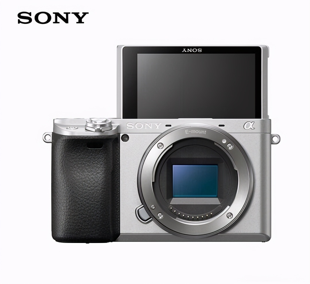 2021年买单反还是微单,微单与单反初学者如何选购